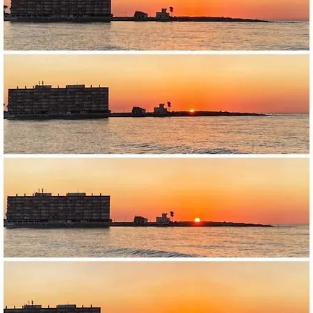 Mona Baltico * Torrevieja
